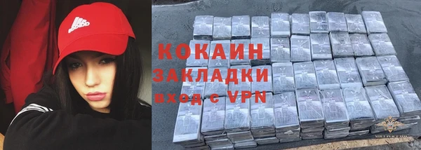гидра Майский