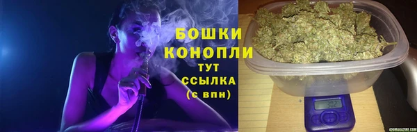 гидра Майский
