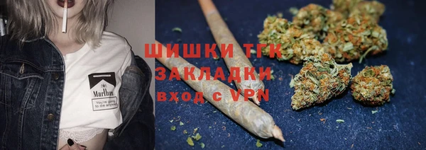 гидра Майский