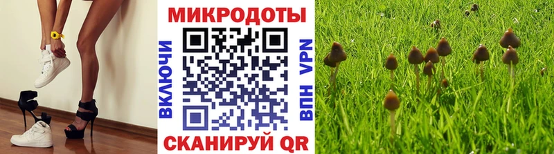 ссылка на мегу рабочий сайт  это наркотические препараты  Черемхово  Галлюциногенные грибы GOLDEN TEACHER  как найти закладки 